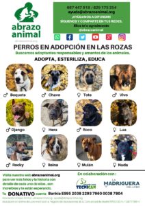 PERROS EN ADOPCIÓN Abrazo Animal Las Rozas 2019 JPG CARTEL