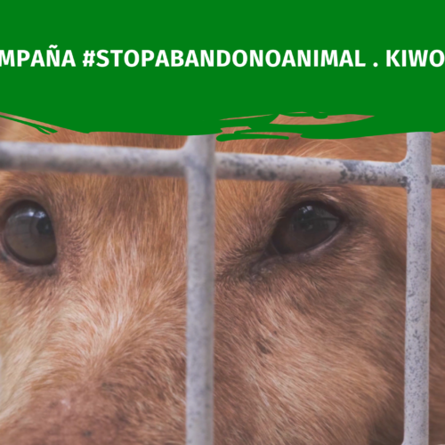 Stop Abandono Animal . Kiwoko