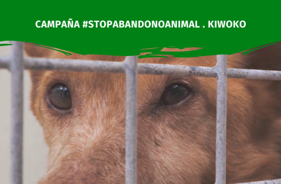 Stop Abandono Animal . Kiwoko